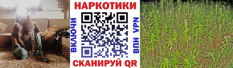 Где продают наркотики Ижевск А ПВП  МЕТАМФЕТАМИН  Меф  ГАШИШ  КОКАИН  Марихуана 