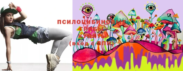прущие крисы Осинники