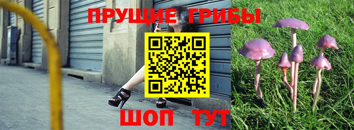 Ижевск  где продают   Вход с VPN  Псилоцибиновые грибы Psilocybe 